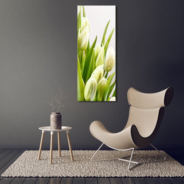 Vertikální Foto obraz na plátně Bílé tulipány ocv-48191283