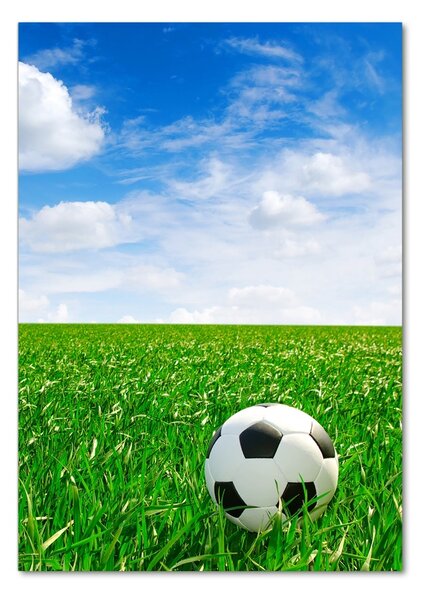 Vertikální Fotoobraz na skle Fotbal na louce osv-48400387