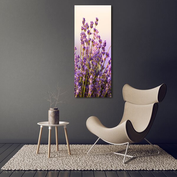 Vertikální Moderní obraz canvas na rámu Levandule ocv-48533046