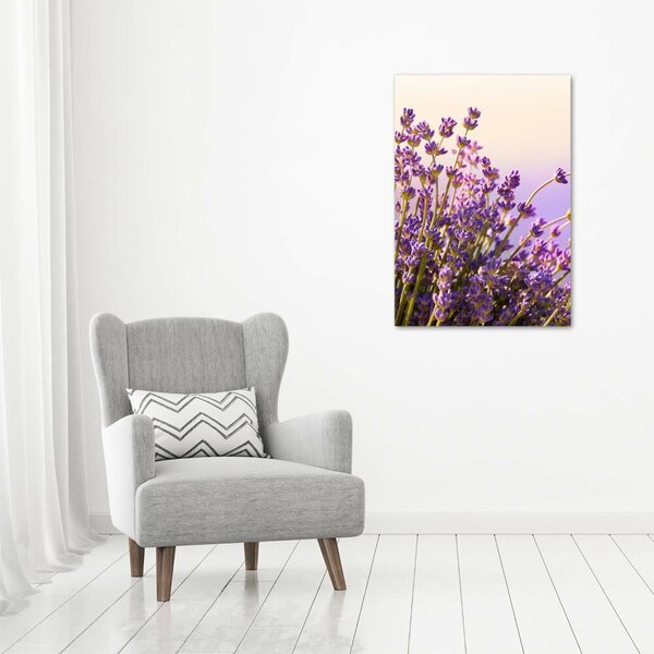 Vertikální Moderní obraz canvas na rámu Levandule ocv-48533046