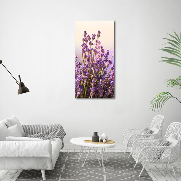 Vertikální Moderní obraz canvas na rámu Levandule ocv-48533046