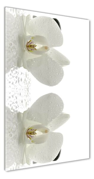 Vertikální Fotoobraz na skle Orchidej a kameny osv-49248021