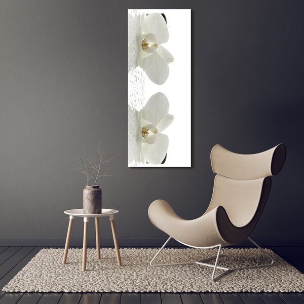 Vertikální Foto obraz na plátně Orchidej a kameny ocv-49248021