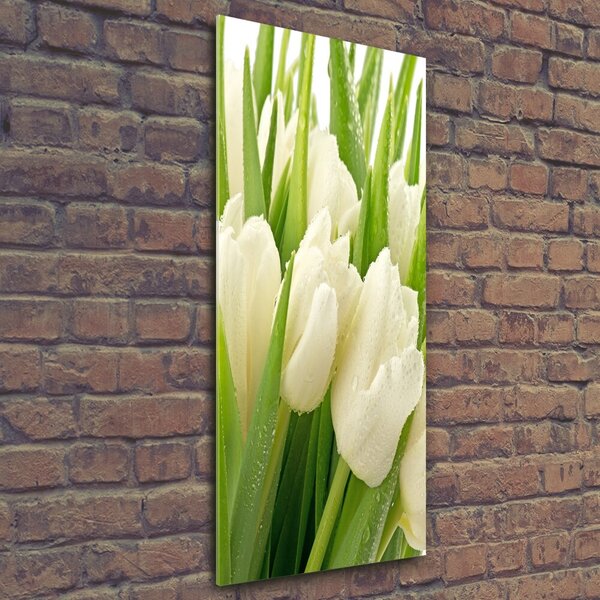 Vertikální Foto obraz fotografie na skle Bílé tulipány osv-49549577