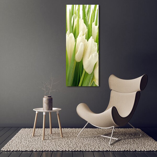 Vertikální Foto obraz na plátně Bílé tulipány ocv-49549577