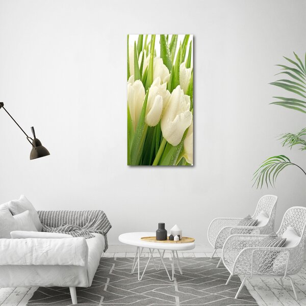 Vertikální Foto obraz na plátně Bílé tulipány ocv-49549577