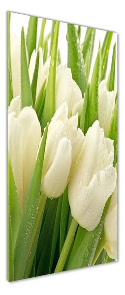 Vertikální Foto obraz fotografie na skle Bílé tulipány osv-49549577