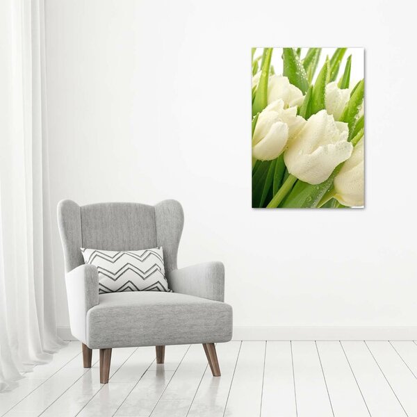 Vertikální Foto obraz na plátně Bílé tulipány ocv-49549577