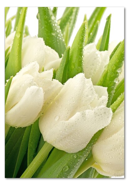 Vertikální Foto obraz fotografie na skle Bílé tulipány osv-49549577