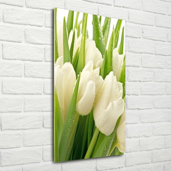 Vertikální Foto obraz fotografie na skle Bílé tulipány osv-49549577