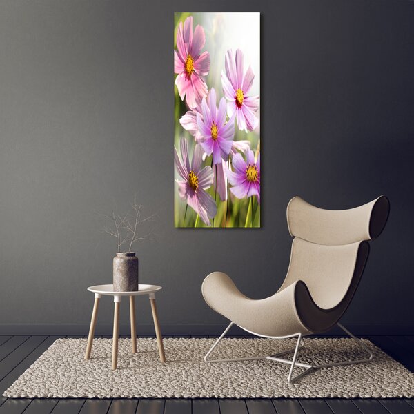 Vertikální Foto obraz canvas Polní květiny ocv-50039707