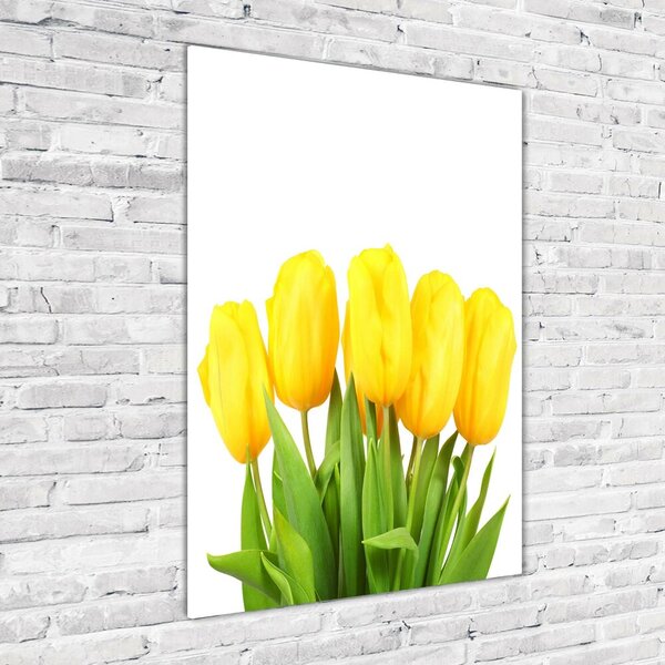 Vertikální Foto obraz fotografie na skle Žluté tulipány osv-50296445