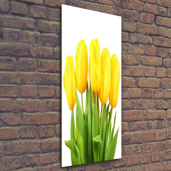 Vertikální Foto obraz fotografie na skle Žluté tulipány osv-50296445