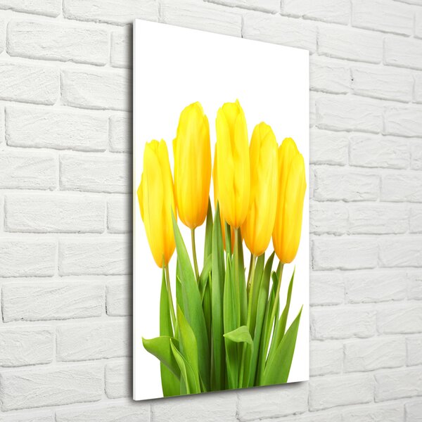 Vertikální Foto obraz fotografie na skle Žluté tulipány osv-50296445