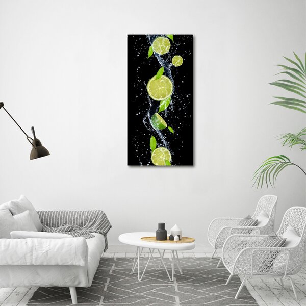 Vertikální Moderní obraz canvas na rámu Limetky ocv-51416948