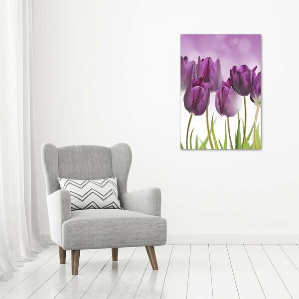 Vertikální Foto obraz na plátně Fialové tulipány ocv-52340543