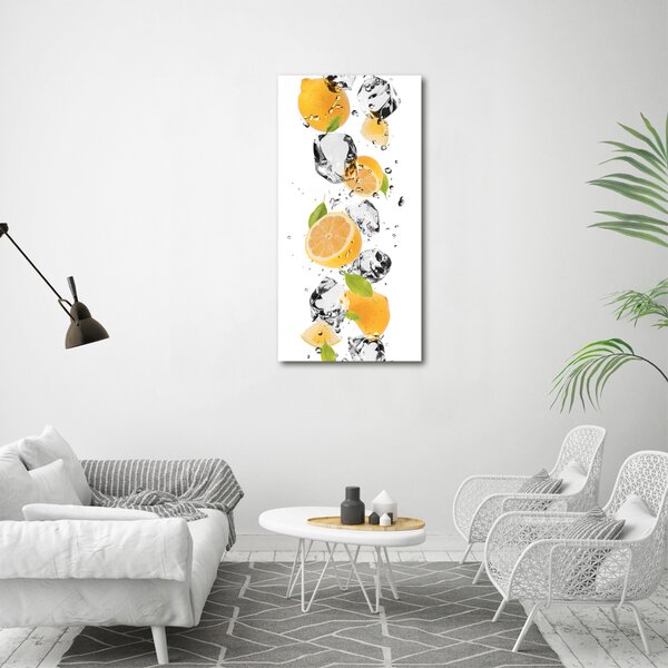 Vertikální Foto obraz canvas Citrony a voda ocv-52519204