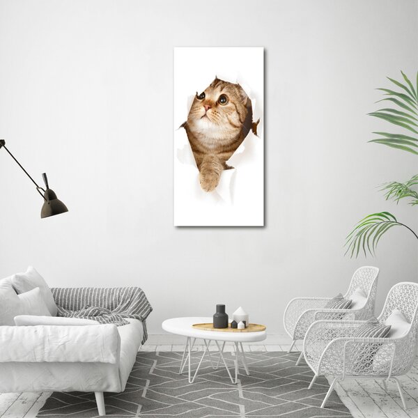 Vertikální Foto obraz canvas Kocour ocv-52539481