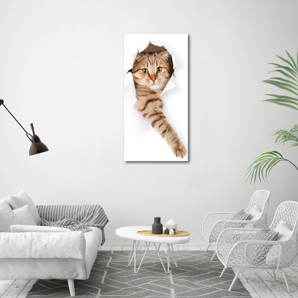Vertikální Foto obraz canvas Kocour ocv-52539512