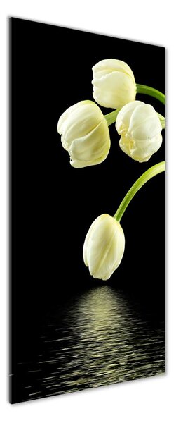 Vertikální Foto obraz fotografie na skle Bílé tulipány osv-53318527