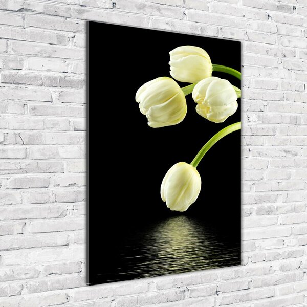 Vertikální Foto obraz fotografie na skle Bílé tulipány osv-53318527
