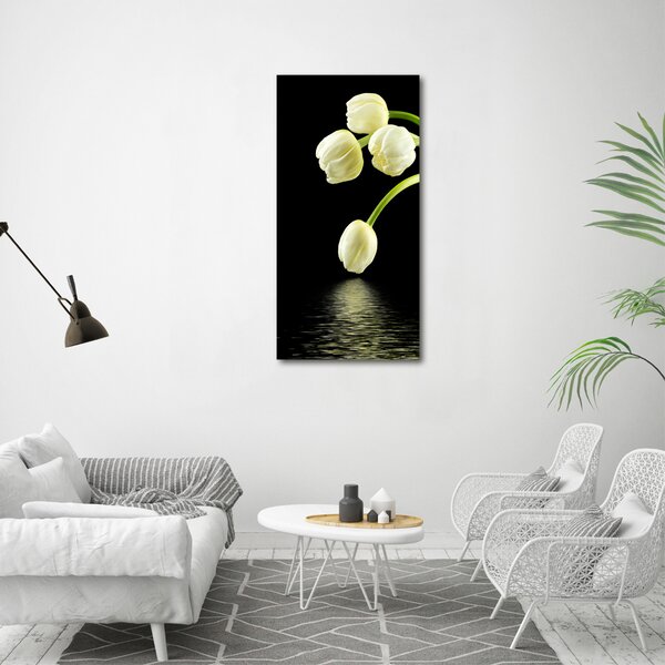 Vertikální Foto obraz na plátně Bílé tulipány ocv-53318527
