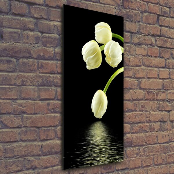 Vertikální Foto obraz fotografie na skle Bílé tulipány osv-53318527