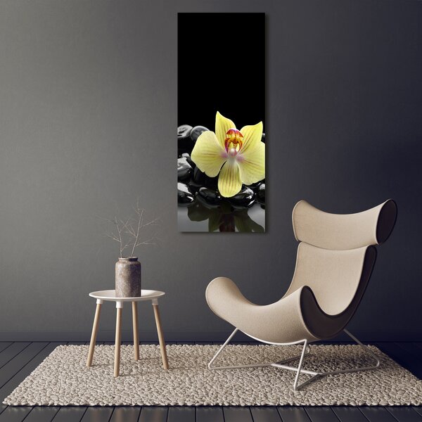 Vertikální Foto obraz na plátně Orchidej a kameny ocv-53476359