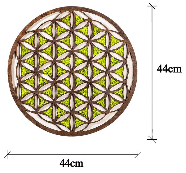 ASIR Kulatá nástěnná dekorace GEOMETRIC bronzová a zelená
