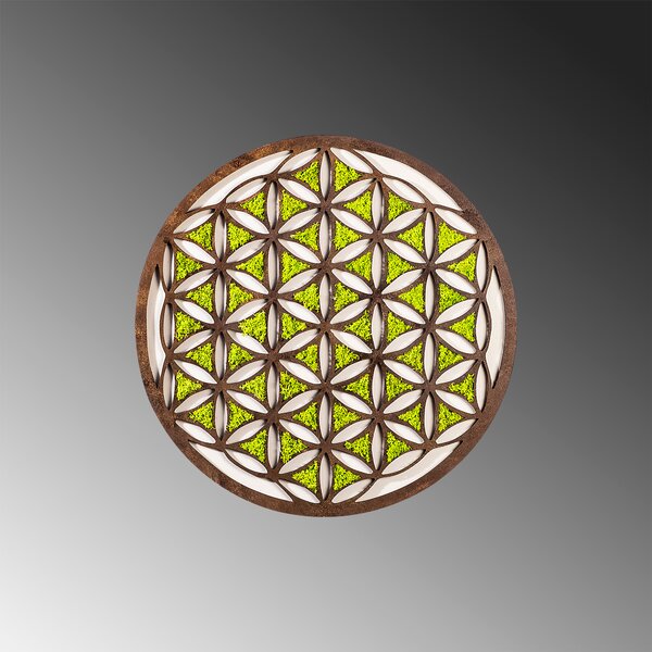 ASIR Kulatá nástěnná dekorace GEOMETRIC bronzová a zelená