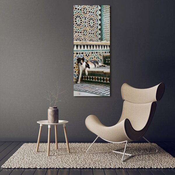 Vertikální Foto obraz canvas Kocour v Maroku ocv-56384997