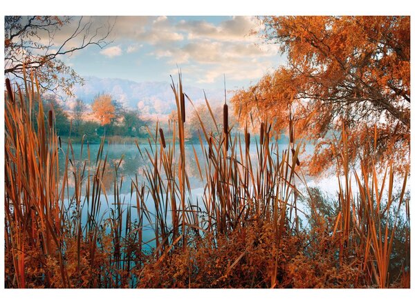 Fototapeta jezero uprostřed podzimní přírody