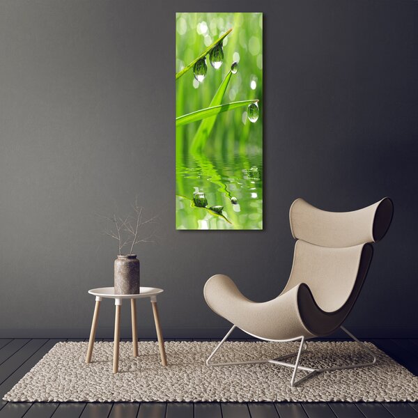 Vertikální Foto obraz canvas Stéblo trávy ocv-59105885