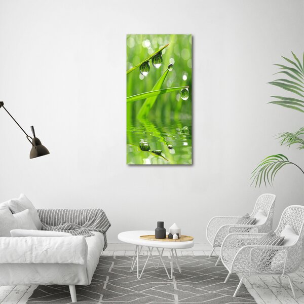 Vertikální Foto obraz canvas Stéblo trávy ocv-59105885