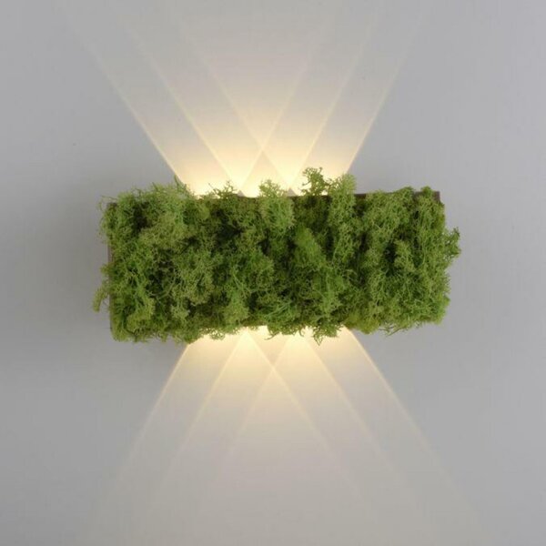 LEUCHTEN DIREKT is JUST LIGHT LED nástěnné svítidlo islandský mech hra světla teplé bílé světlo do interiéru 3000K LD 15637-66
