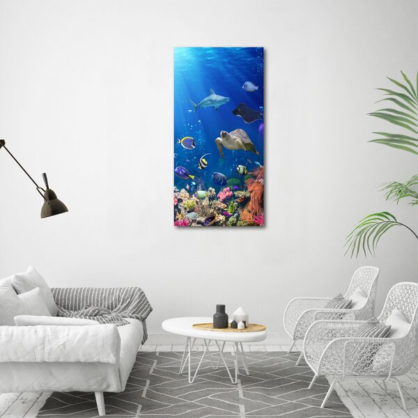 Vertikální Foto obraz canvas Korálový útes ocv-61347812
