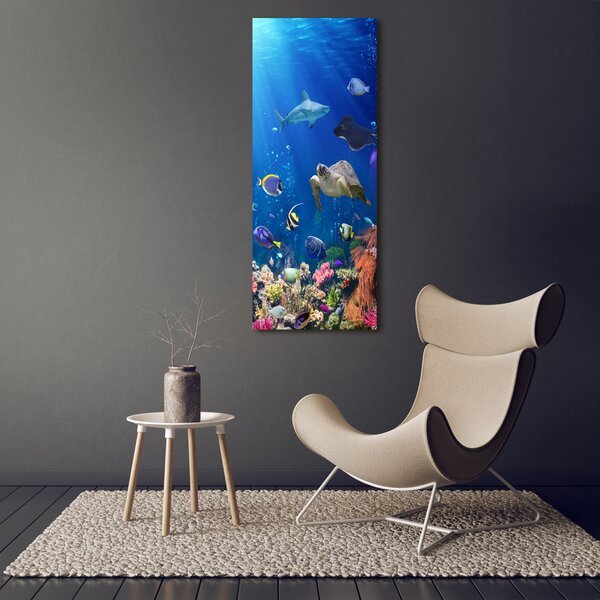 Vertikální Foto obraz canvas Korálový útes ocv-61347812