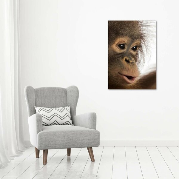 Vertikální Fotoobraz na skle Mladý orangutan osv-61570229