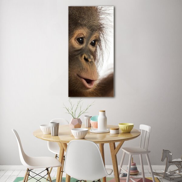 Vertikální Fotoobraz na skle Mladý orangutan osv-61570229