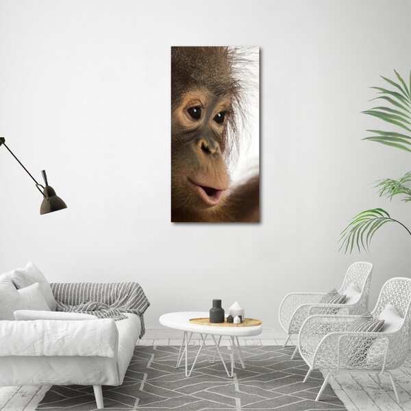 Vertikální Fotoobraz na skle Mladý orangutan osv-61570229