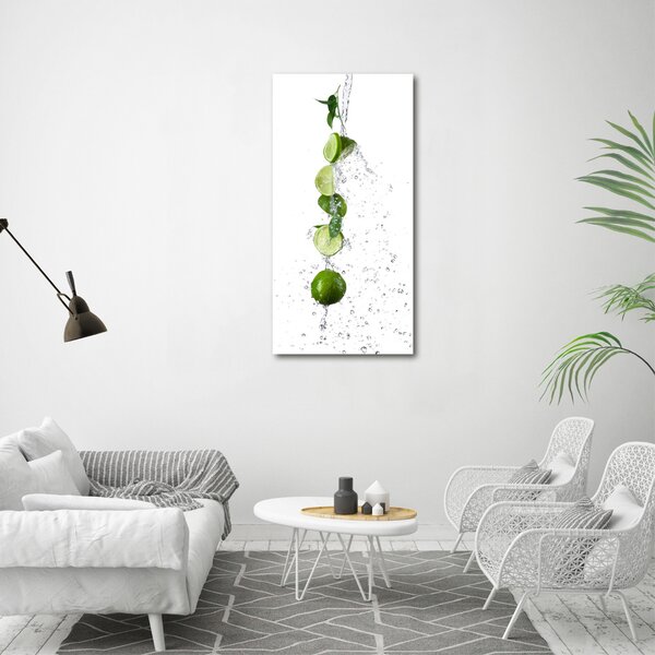 Vertikální Moderní obraz canvas na rámu Limetky ocv-63071729