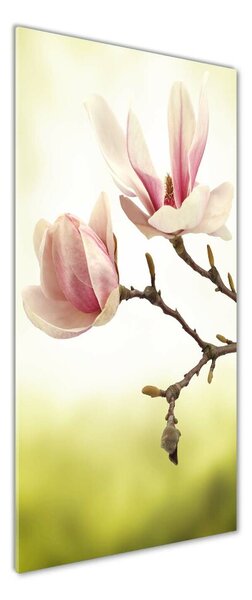 Vertikální Fotoobraz na skle Květy magnolie osv-64406136