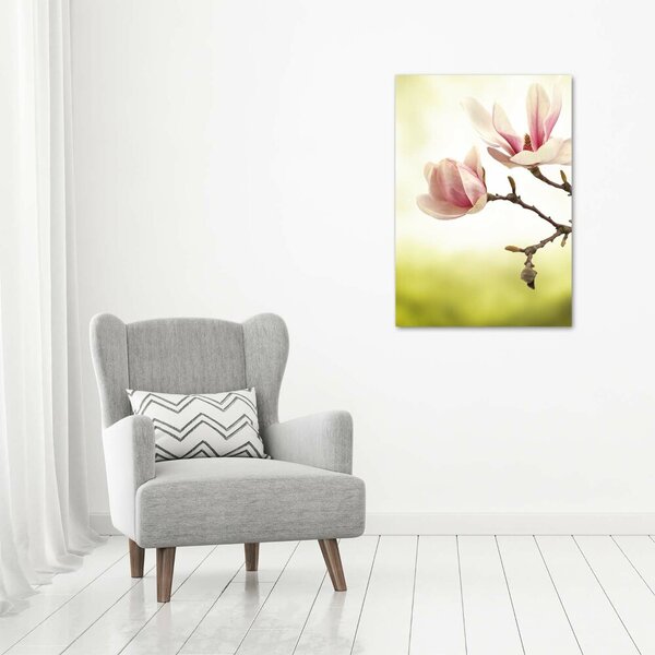 Vertikální Foto obraz na plátně Květy magnolie ocv-64406136