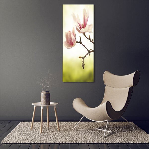 Vertikální Foto obraz na plátně Květy magnolie ocv-64406136