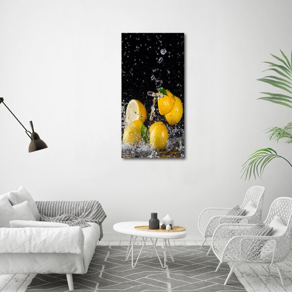 Vertikální Moderní obraz canvas na rámu Citron ocv-64818305