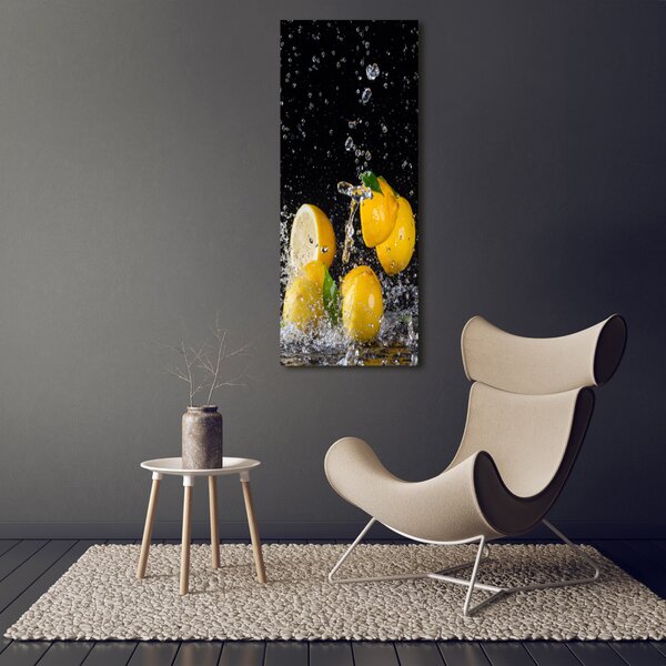 Vertikální Moderní obraz canvas na rámu Citron ocv-64818305