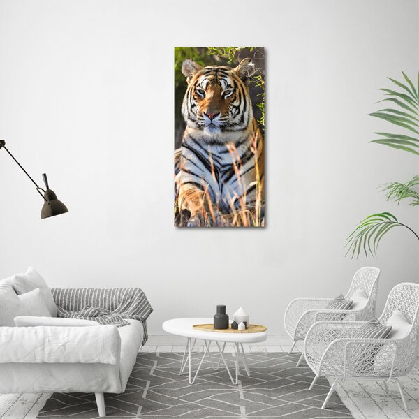Vertikální Moderní fotoobraz canvas na rámu Tygr ocv-65374714
