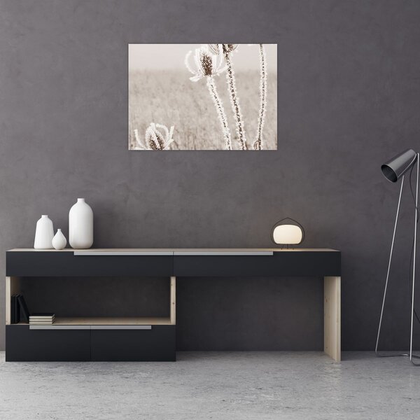 Obraz - Bodlák v zimě (70x50 cm)