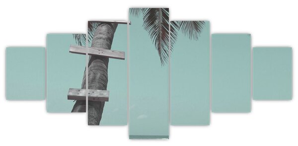 Obraz - Palma v Karibiku (210x100 cm)