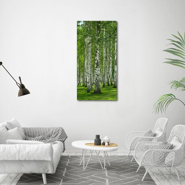 Vertikální Foto obraz canvas Břízový les ocv-65572526